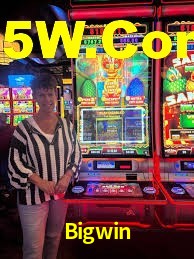 Bonus Features Bigwin